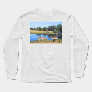 Impalas with Bush Buck in Botswana, Africa Long Sleeve T-Shirt